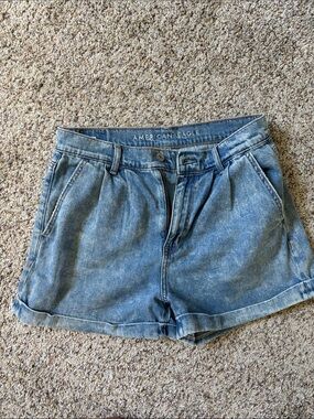 American Eagle Outfitters Light Blue Denim Cuffed Pleat Shorts